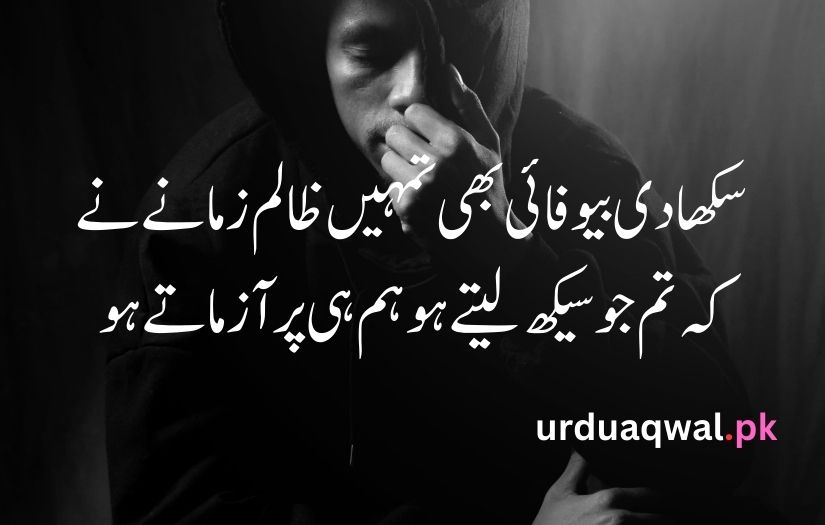 Sad Shayari urdu language