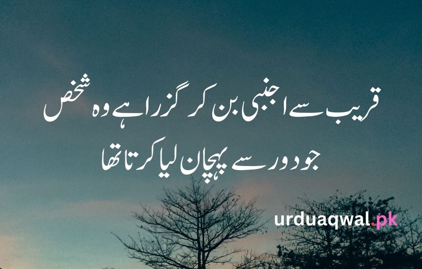 Sad poetry in urdu text copy paste