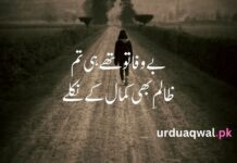 Sad poetry in urdu text copy paste Sad poetry in urdu text copy paste