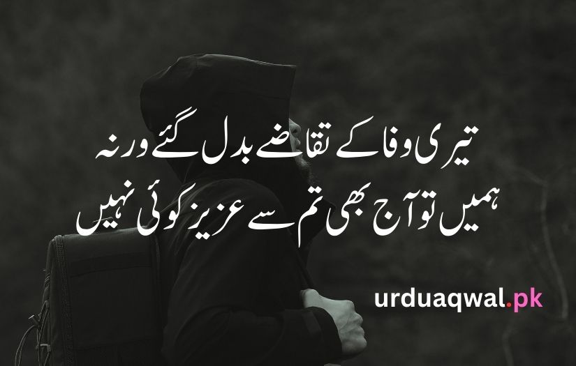 Sad poetry in urdu text copy paste