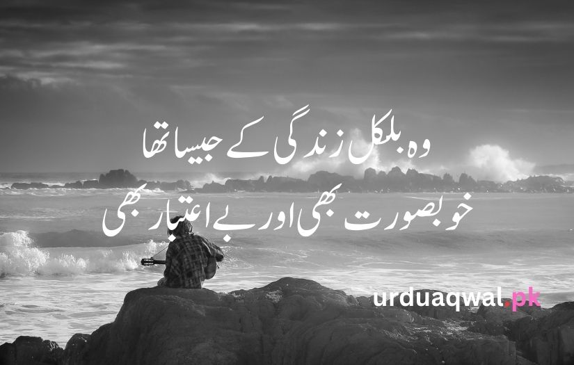 Sad poetry in urdu text copy paste