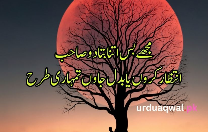 bewafa poetry in urdu text