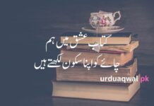 Chaye poetry in urdu Chaye poetry in urdu