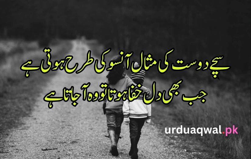 Urdu poetry dosti sad