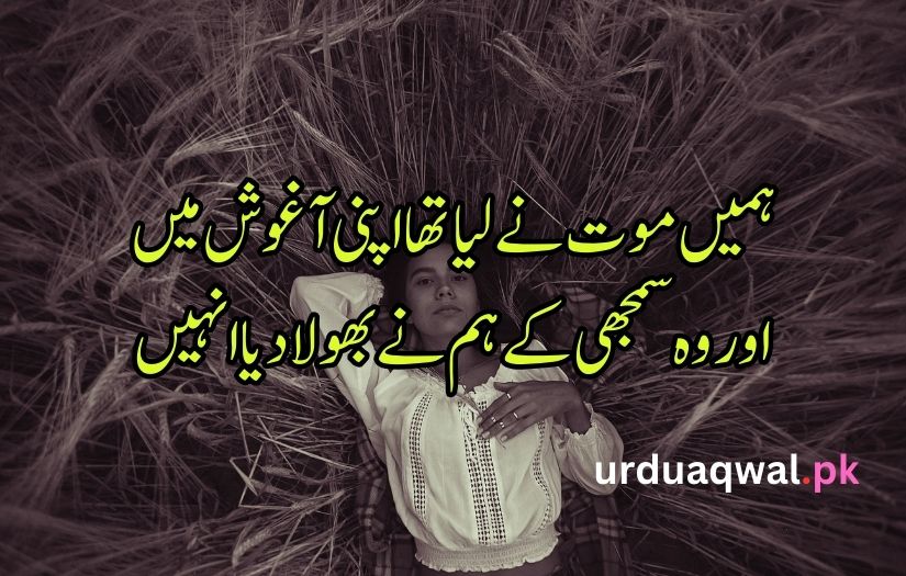 Urdu Saddest Poetry