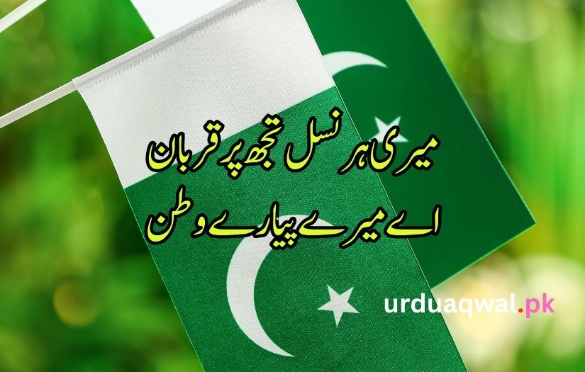 14 August poetry