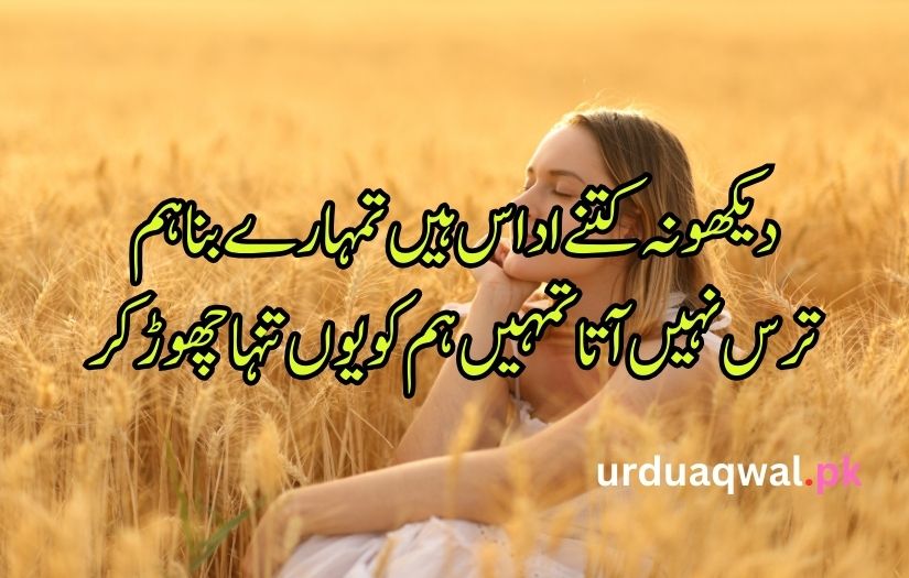 alone Shayari in urdu