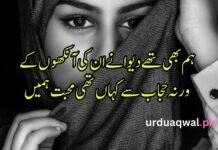Love Poetry in Urdu text Love Poetry in Urdu text