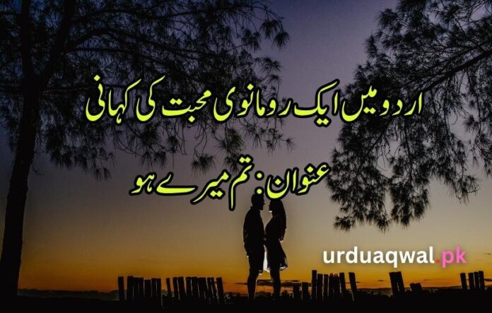 urdu love story in urdu