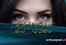 Poetry On Eyes In Urdu Poetry On Eyes In Urdu