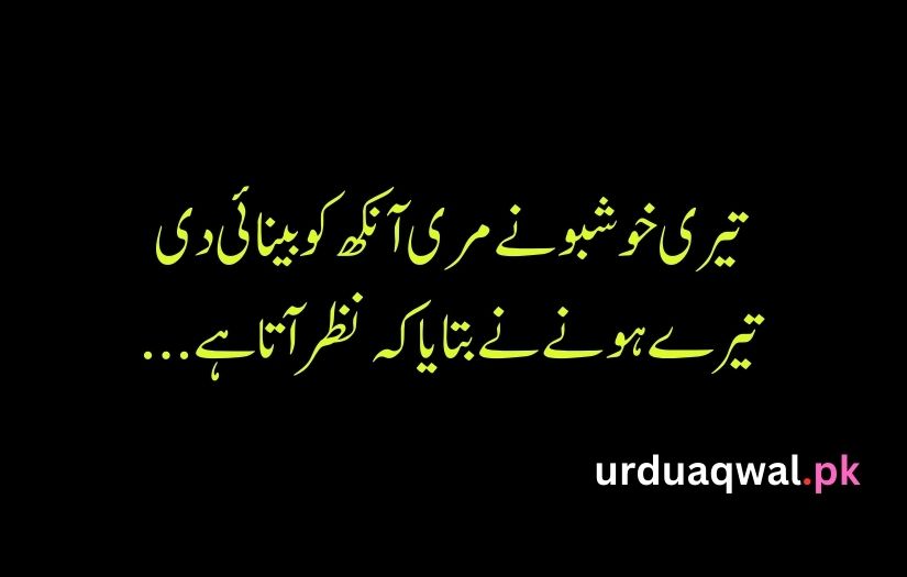 Poetry On Eyes In Urdu 