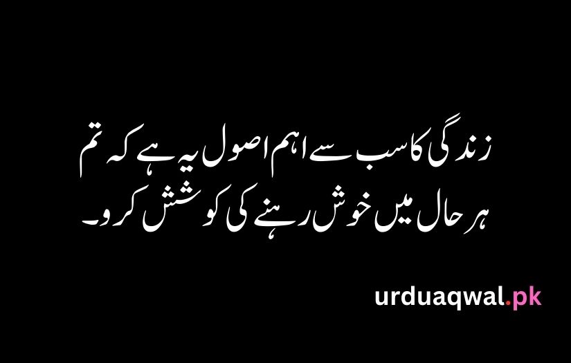 Urdu Quotes For Life