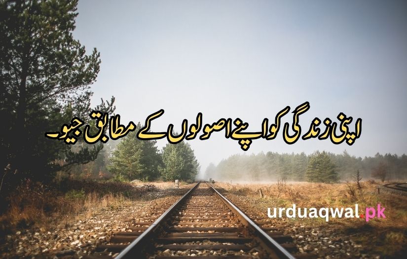 Motivational Quotes In Urdu