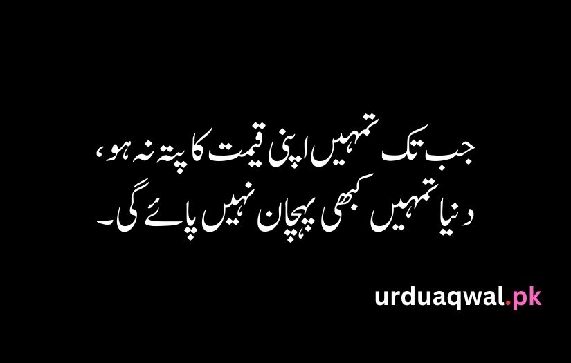 Urdu Quotes For Life