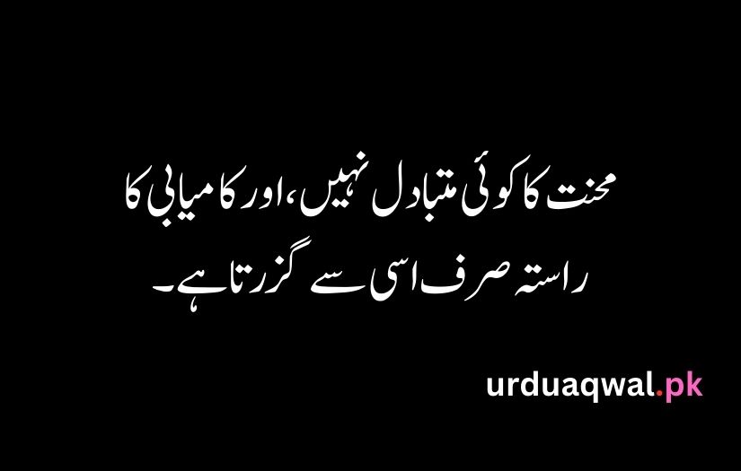 Urdu Quotes For Life