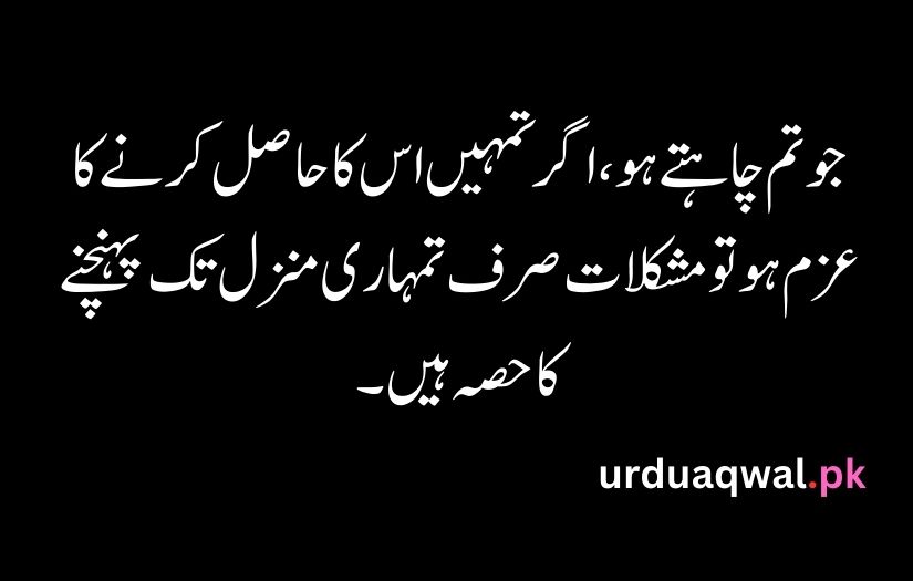 Urdu Quotes For Life