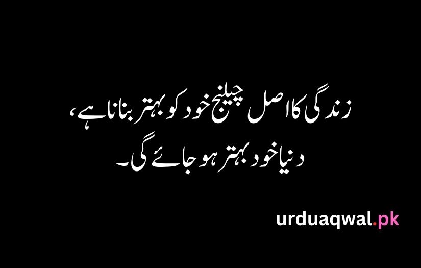 Urdu Quotes For Life