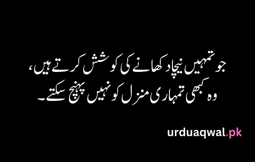 Urdu Quotes For Life