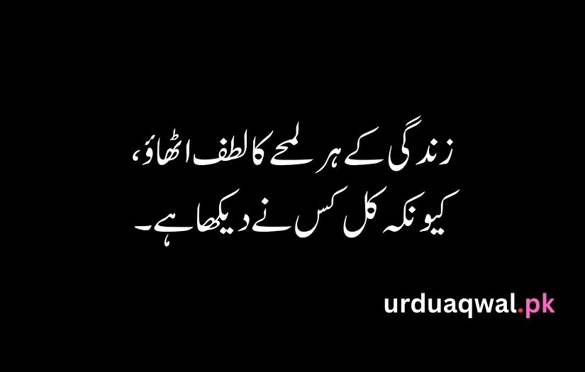 Urdu Quotes For Life