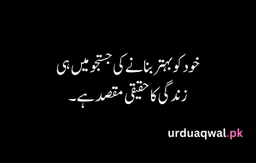 Urdu Quotes For Life