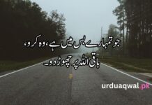 Motivational Quotes In Urdu Motivational Quotes In Urdu