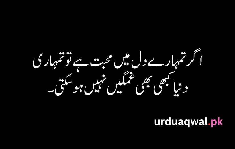 Urdu Quotes For Life