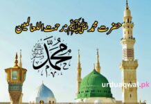 حضرت محمد ﷺ کی تعلیمات