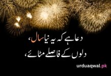 New Year Poetry In Urdu New Year Poetry In Urdu