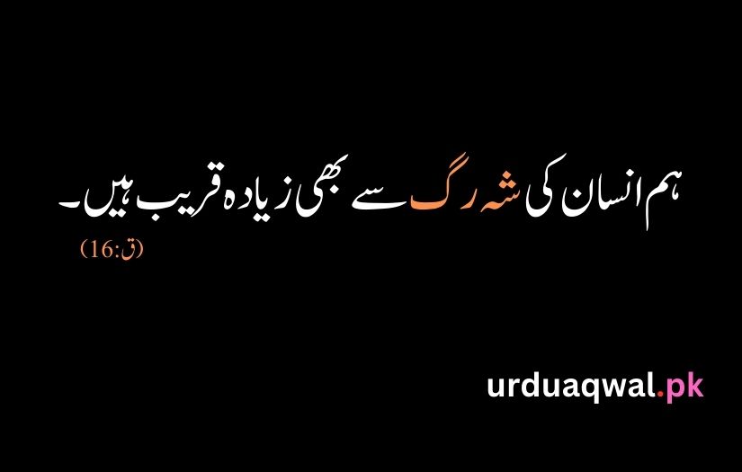 Quran Quotes In Urdu