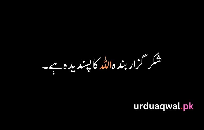 Quran Quotes In Urdu