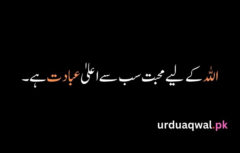 Quran Quotes In Urdu